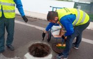 L'àrea de Medi Ambient de Peníscola coordina els treballs de control de plagues