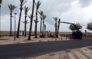 L'Ajuntament de Peníscola comença els treballs de millora de la jardineria en el passeig marítim