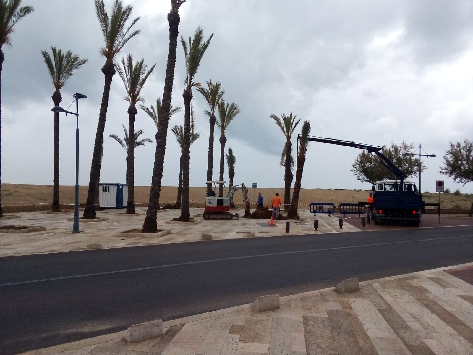 L'Ajuntament de Peníscola comença els treballs de millora de la jardineria en el passeig marítim