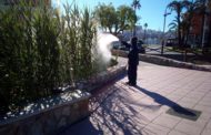 L'Ajuntament de Peníscola continua les fumigacions per evitar la proliferació de mosquit