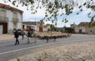 Els ramats transhumants recorren la Ruta del Llosar