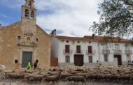 Vilafranca celebrarà l'Escola d'Estiu del 29 de juny al 31 juliol