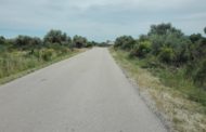 Tasques de desbrossament i neteja de camins a Rossell