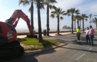 Segueixen a bon ritme els treballs de millora de la jardineria en el Passeig Marítim de Peníscola