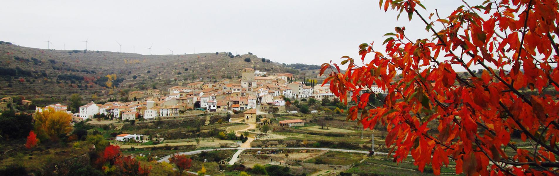 Portell s’incorpora plenament a la Mancomunitat Comarcal Els Ports