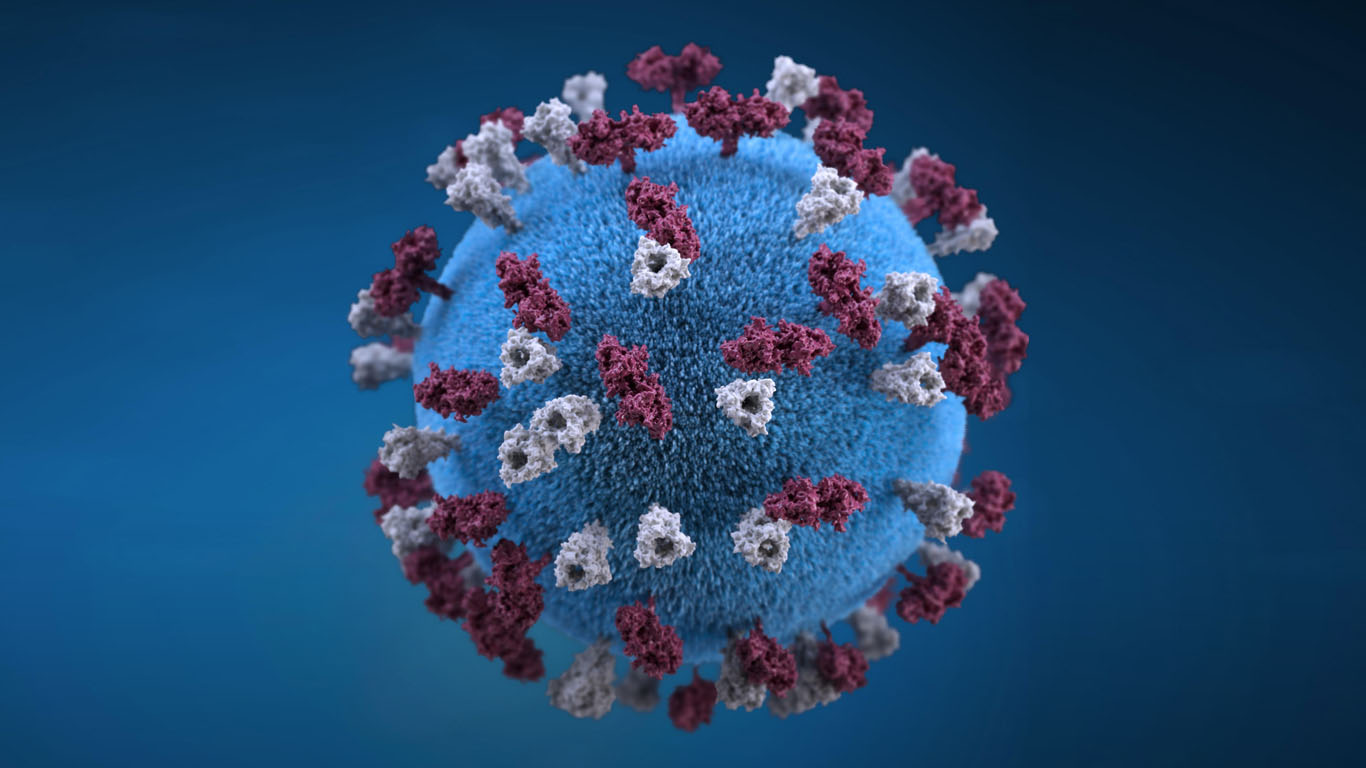 Sanitat notifica 2.495 nous casos de coronavirus, 1.264 d'ells en majors de 60 anys
