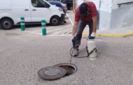 Càlig inicia el tractament per a combatre els mosquits