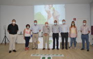 L'AECC Castelló implementa un servei pioner d'exercici físic oncològic en línia