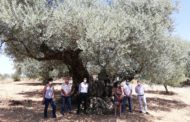 Les diputacions de Castelló, Tarragona i Terol s’uneixen per a posar en valor el patrimoni agrícola i arquitectònic del Sénia