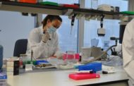La Comunitat Valenciana registra 457 nous casos de coronavirus i 325 altes