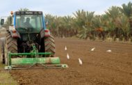 Agricultura subvenciona fins al 40% de les inversions dels plans de modernització