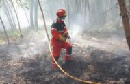 La Conselleria d'Emergència Climàtica ja ha executat el 75% del pressupost de prevenció d'incendis
