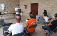 Les abelles protagonistes a Castellfort