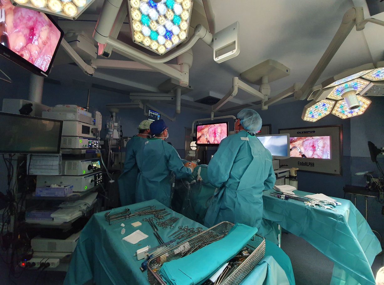 Les donacions d'òrgans i els trasplantaments augmenten prop d'un 20% en els cinc primers mesos de l'any