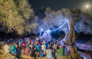 Del 12 al 14 d’agost torna l’experiència Oliveres & Estels a La Jana