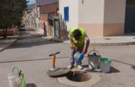 Santa Magdalena lluita contra el mosquit tigre