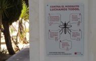 Les Coves de Vinromà instal·la panells per conscienciar a la ciutadania sobre la propagació del mosquit tigre