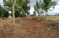 Sant Mateu fa treballs de neteja de sèquies i rius davant possibles tempestes