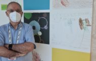 Un estudi conclou que la població infantil amb asma no s'ha vist afectada de manera significativa per la COVID-19