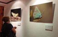 L'exposició fotogràfica 
