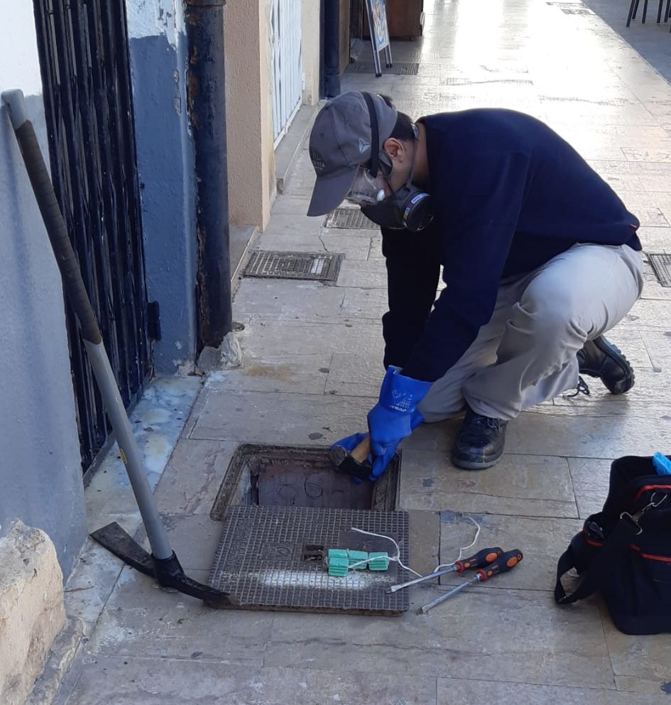 L'Ajuntament de Vinaròs reforça els tractaments contra els rosegadors