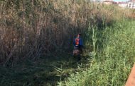 Continuen els treballs de desbrossament en la marjal de Peníscola