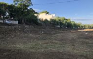 Les Brigades de Mitigació de Riscos continuen esbrossant la rambla d'Alcalà a Santa Magdalena