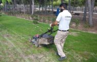 Benicarló entre les Escoles Taller Et Formem en les quals 600 persones desocupades es formaran reben un salari