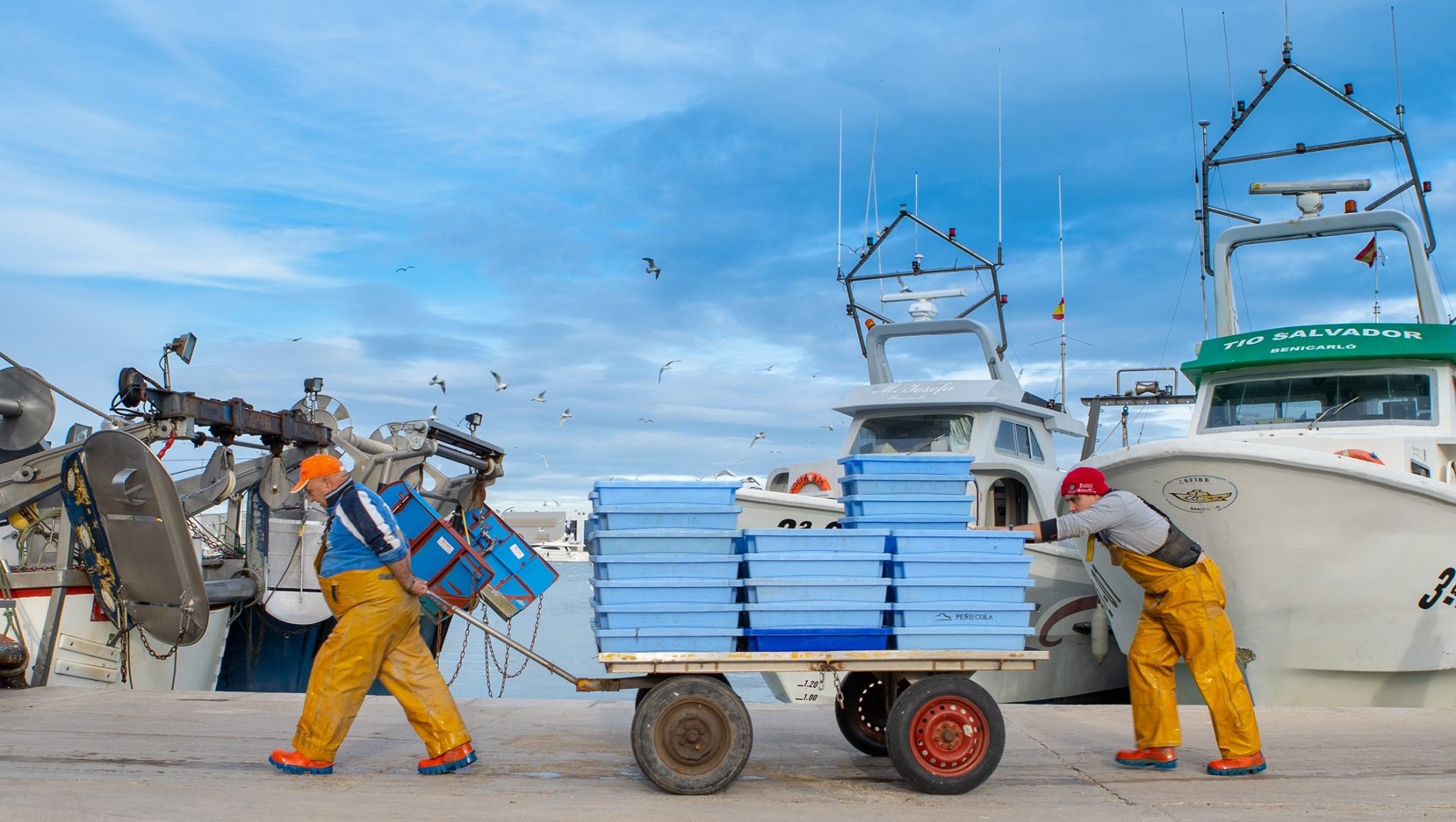 6 embarcacions de Benicarló i Vinaròs es beneficien de l'aprovació del Pla de Pesca Artesanal del Polp a Caduf
