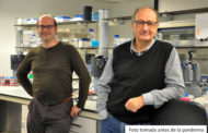 Investigadors de Fisabio, UV, UPF i Idibgi demostren la vinculació entre els microbis intestinals i la memòria recent