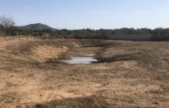 La Bassa Xert de La Jana recupera l'aspecte original