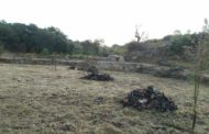 Finalitzen els treballs de neteja i esbrosse al Museu de la Valltorta i el càmping de Tírig