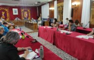 L'Ajuntament de Vinaròs aprova la creació de la Taula del Benestar Animal