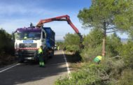 La Diputació realitza tasques de poda i tala en 108 km de la xarxa viària per previndre incendis i millorar la visibilitat