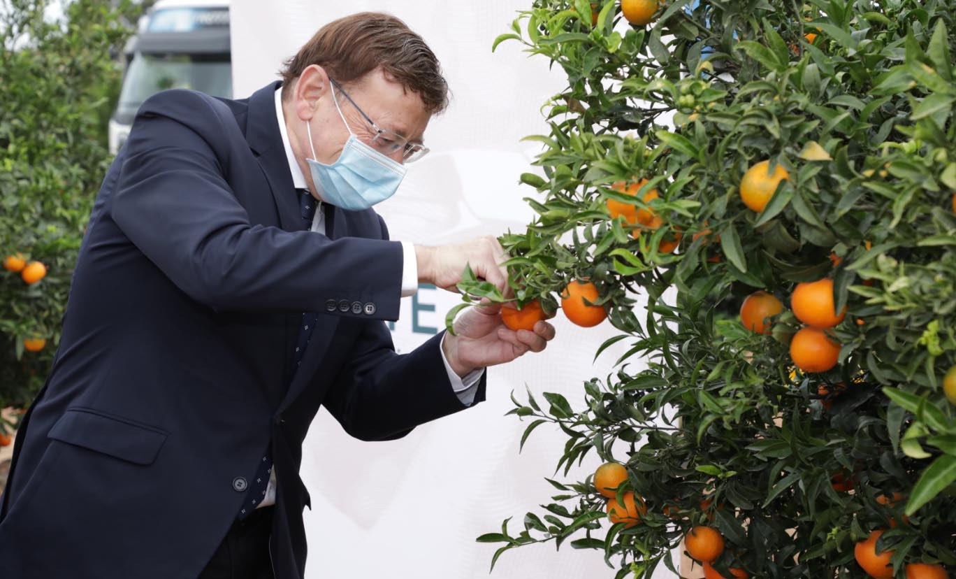 Agricultura defensa al sector i rebutja la postura de Consum d'equipar sucs i nèctars sense sucre amb refrescos