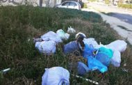 La Policia Local de Benicarló identifica els autors d'un abocament a la 340a