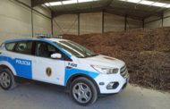 La Policia de la Generalitat intervé 632 tones de garrofa en magatzems de la Comunitat Valenciana