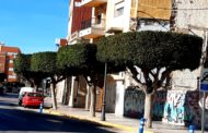 Benicarló realitza la poda dels arbres