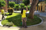 Benicarló tindrà un nou taller d’ocupació ‘Et Formem’ per a persones amb dificultats d’inserció laboral