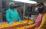 Desenvolupament Rural destina 250.000 euros a programes per a estratègies de dinamització agroecològiques