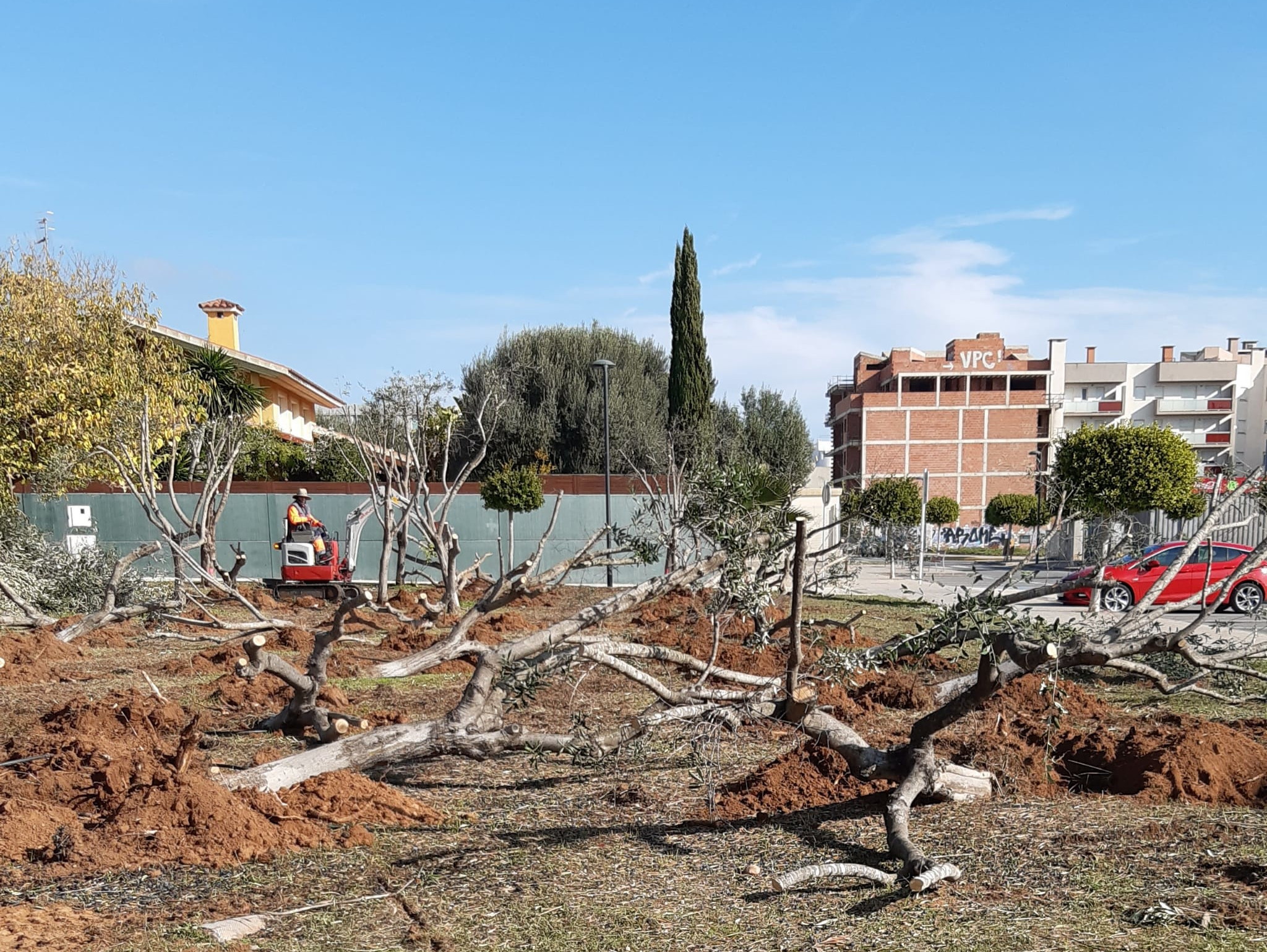 L'àrea de Medi Ambient de Benicarló transformarà una parcel·la de 3.000 metres quadrats en un parc verd