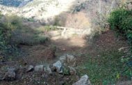 Castellfort contracta quatre veïns per a treballs forestals