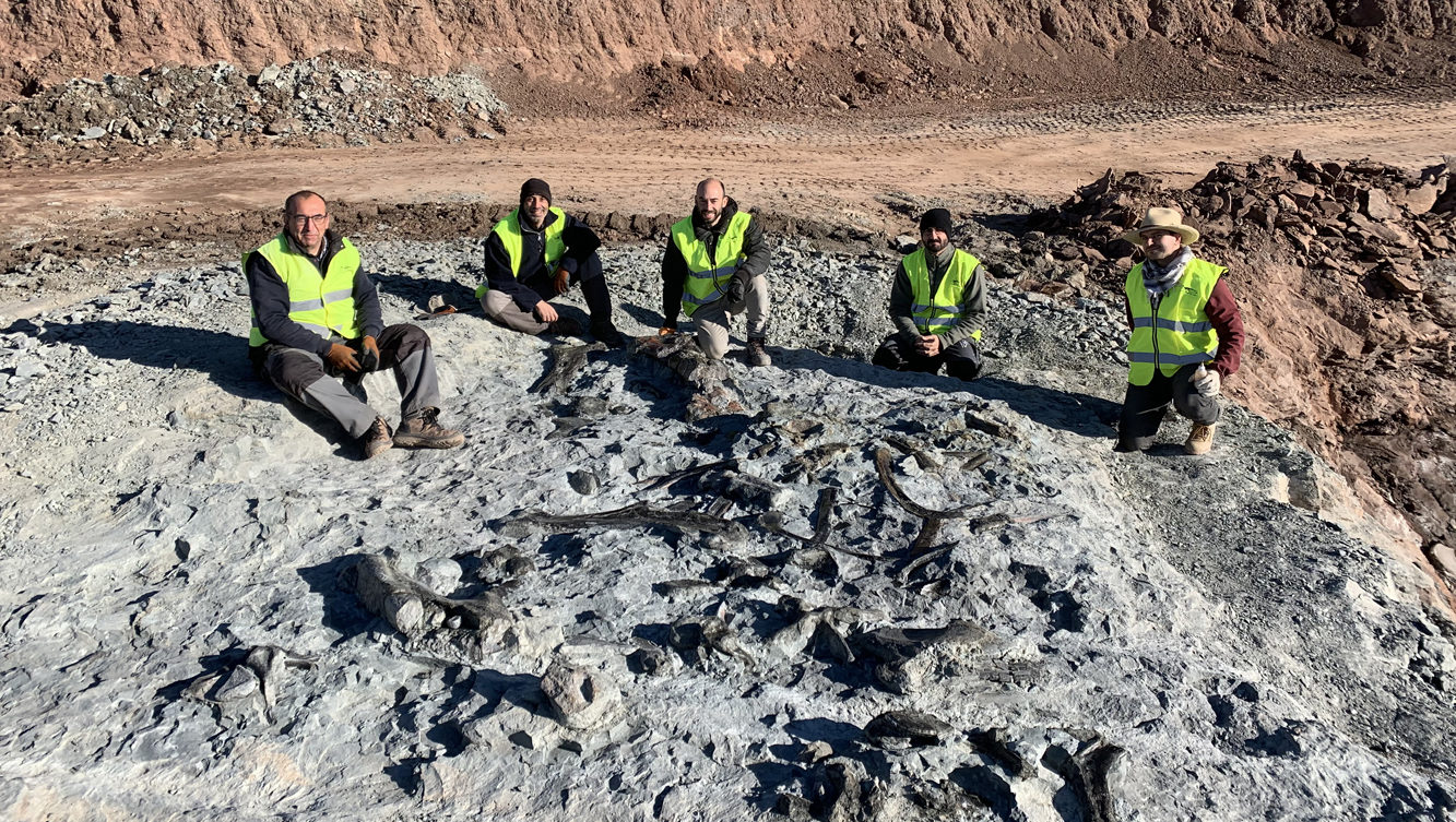 Noves restes de dinosaures ornitòpodes en les mines d'argila de Morella