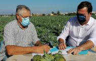 L'Ajuntament de Peníscola subscriu un conveni de col·laboració amb la D.O. Carxofa de Benicarló