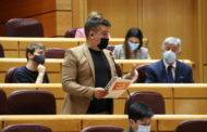 El Senat aprova la petició de Compromís de rebaixar l'IVA dels instruments musicals al 10%