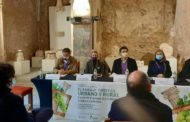 Les Coves de Vinromà acull una jornada sobre el paisatge turístic, urbà i rural