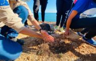 Alumnes i professors de l'IES Serra d’Irta d'Alcalà de Xivert aposten per la conservació del 