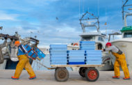 Aguirre acosta postures amb les confraries de pescadors de Vinaròs, Benicarló i Borriana