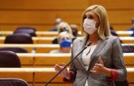 El PP de Castelló presente al Senat una proposta per a la neteja 