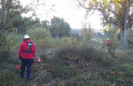 Les Coves realitza treballs de neteja en la zona del riu per a afavorir l'eixida d'aigües en cas de temporal